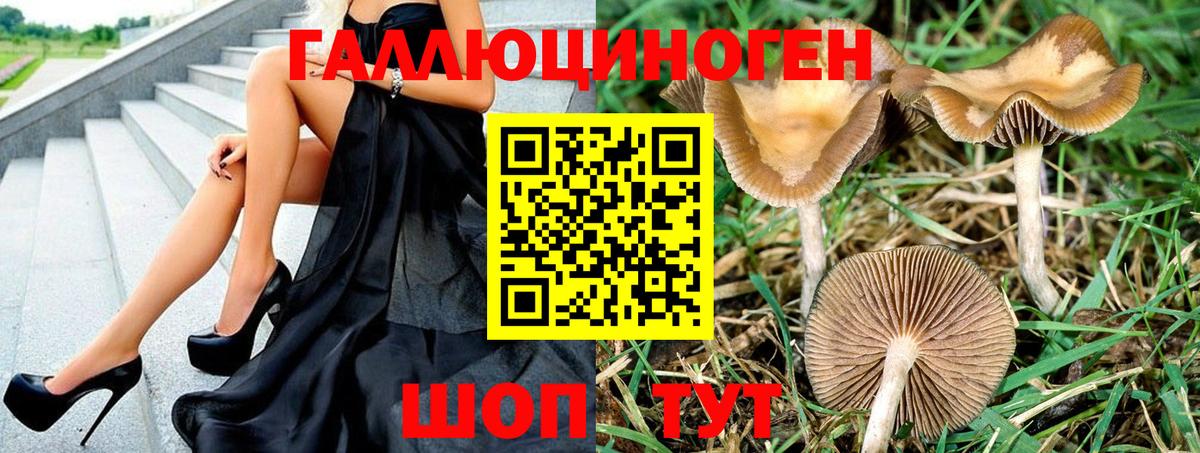 Псилоцибиновые грибы Psilocybine cubensis  Вход с VPN  Псилоцибиновые грибы мицелий  Дубна 
