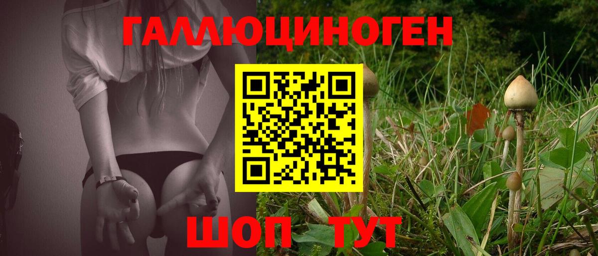 Галлюциногенные грибы GOLDEN TEACHER Дубна
