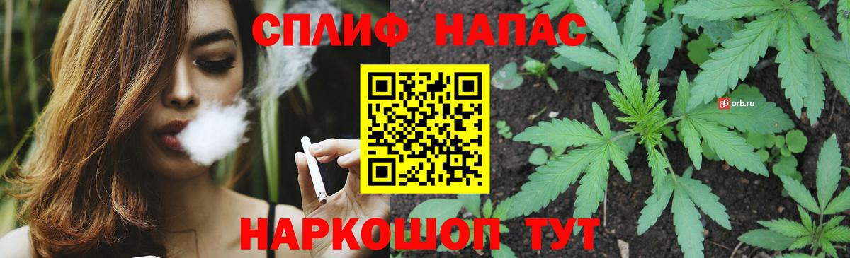 Каннабис план  Вход с VPN  Бошки Шишки индика  Дубна 
